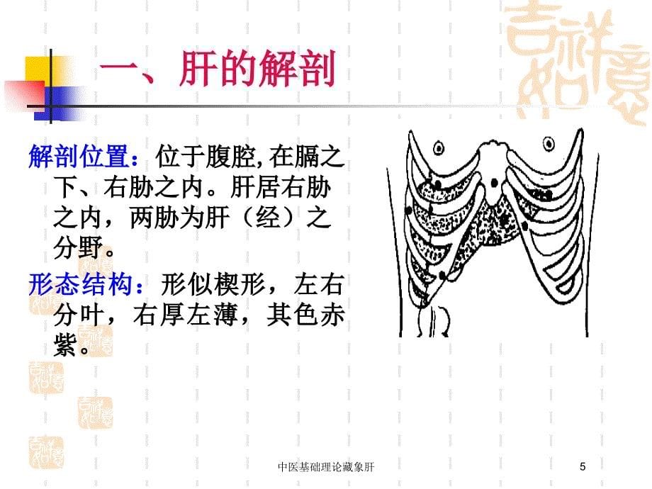 中医基础理论藏象肝培训课件_第5页