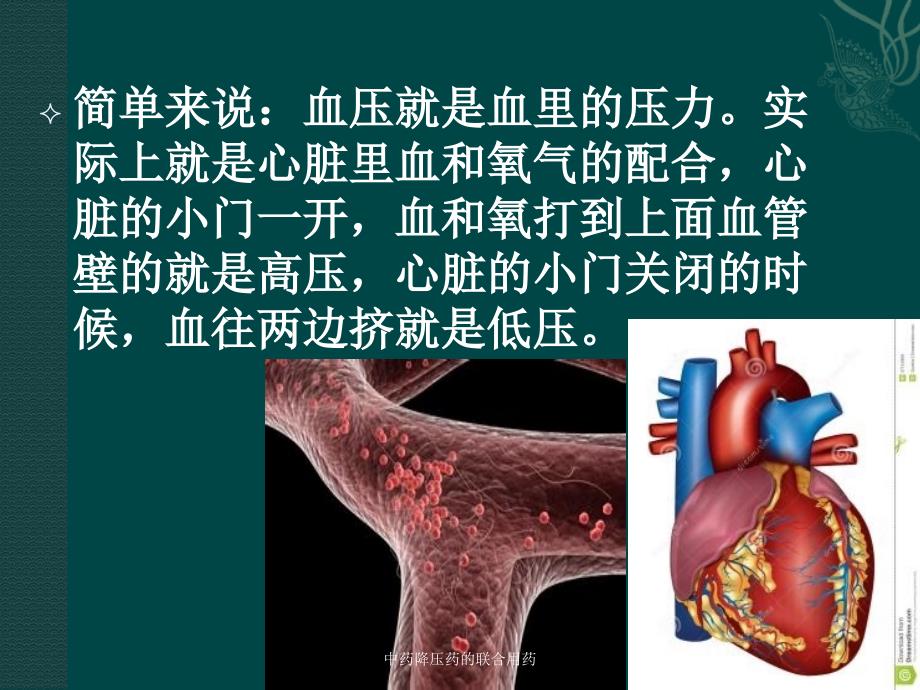 中药降压药的联合用药培训课件_第4页