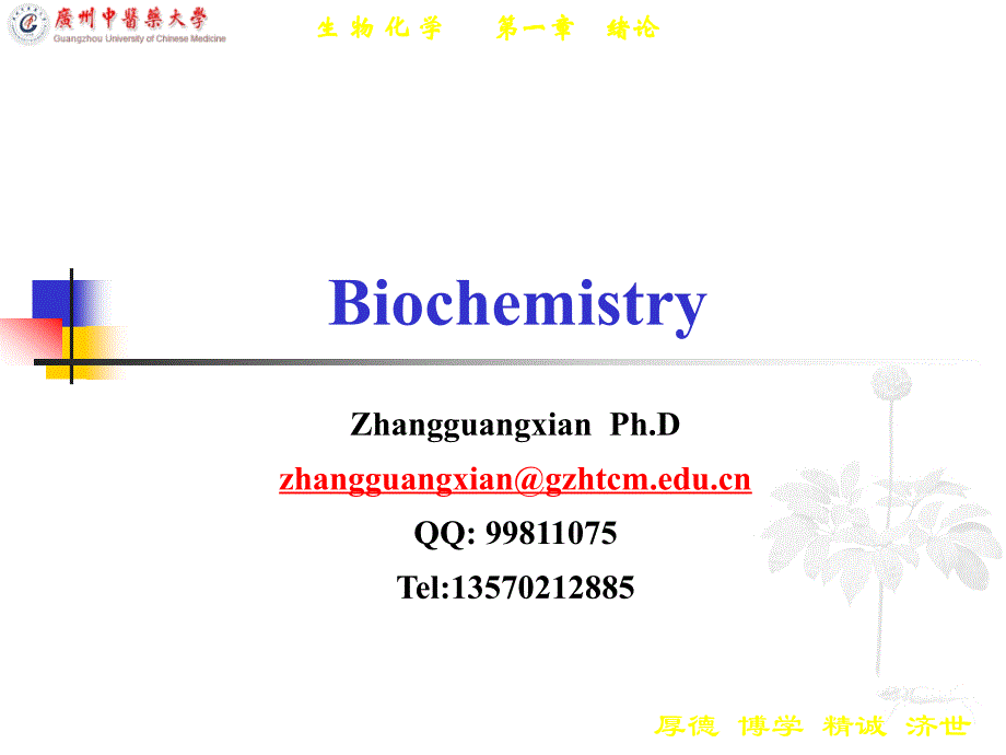 chgangan生化课间绪论_第2页