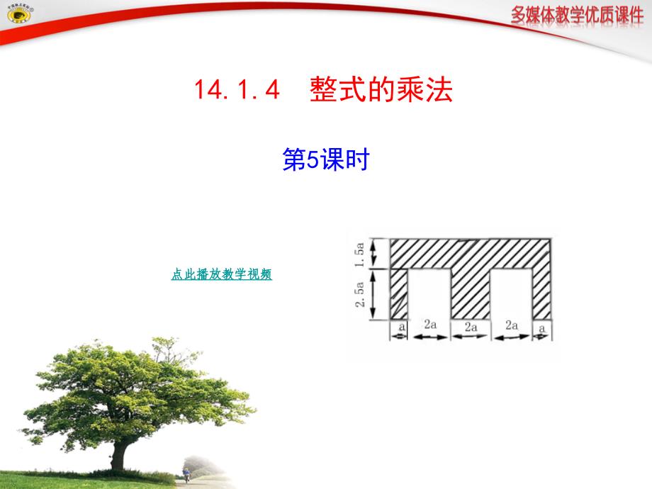 整式的乘法第五课时初二数学上册_第1页