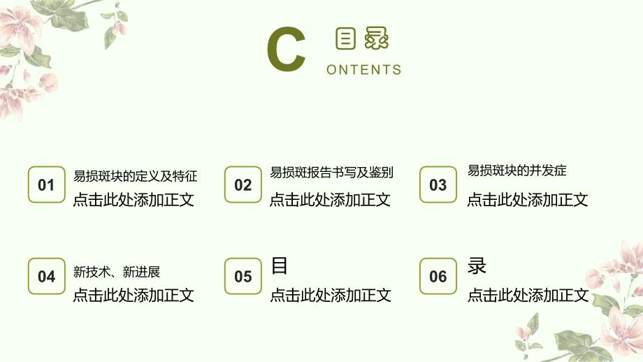 易损斑块的诊断与鉴别诊断_第2页